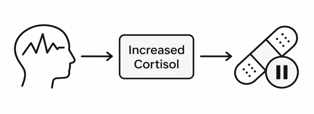 A simple flowchart vector showing high stress leading to increased cortisol, which then points to a paused or delayed healing icon.